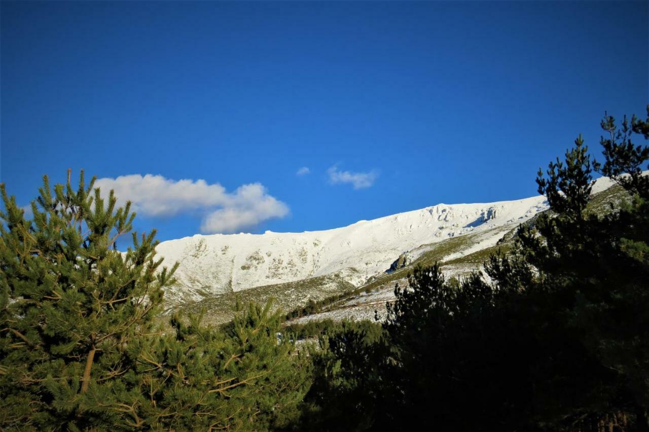 Apartment Orgaz *